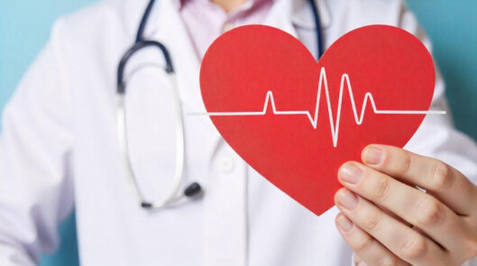 Базовая программа